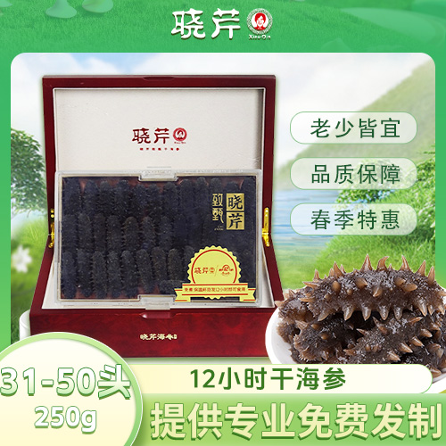 12小时干海参31-50头/250gC款