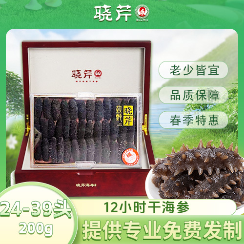 12小时干海参24-39头/200g