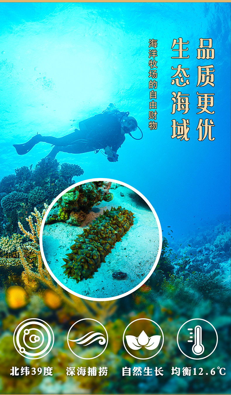 海参详情页_09.jpg