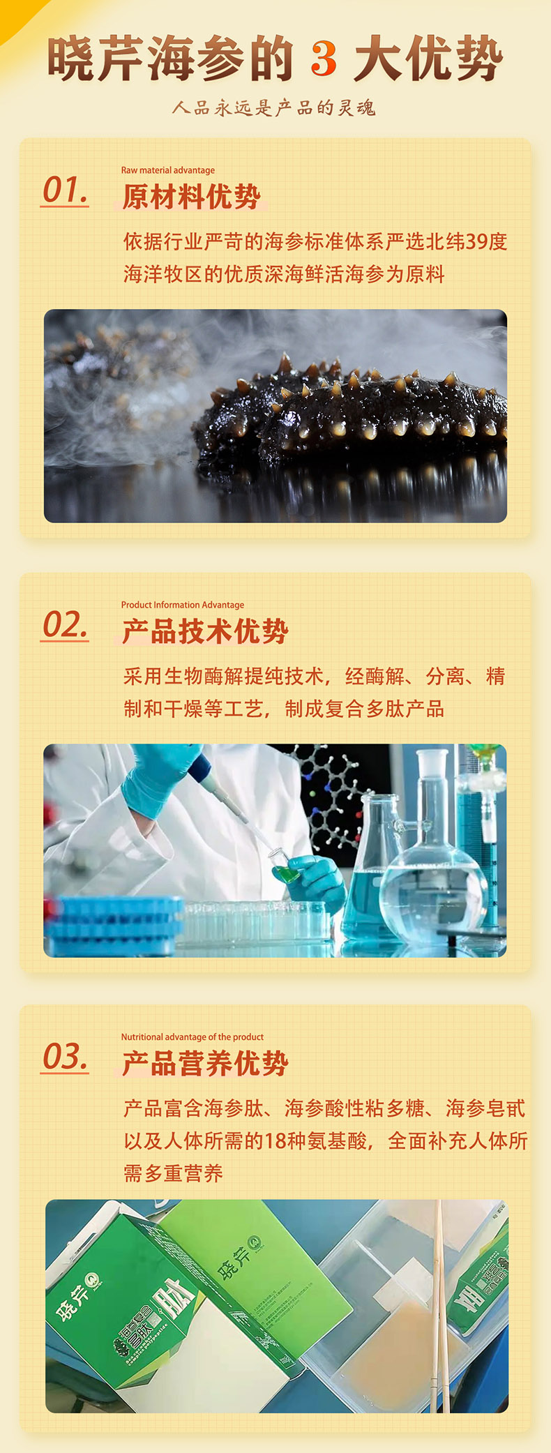 海参肽盒_04.jpg