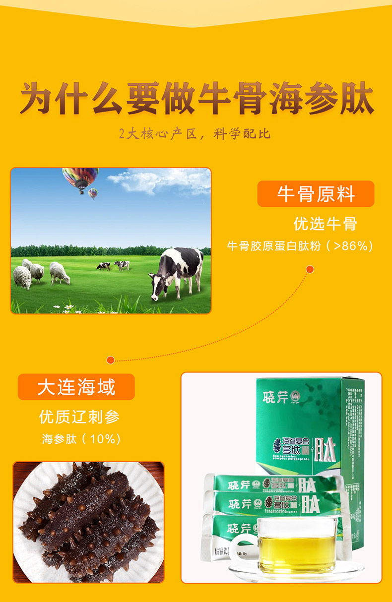 海参肽盒_07.jpg