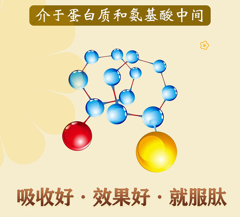 海参肽盒_08_02.jpg