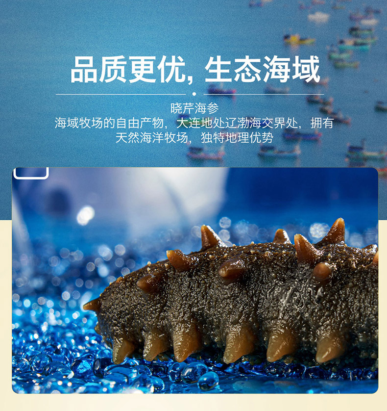 海参肽盒_11_01.jpg